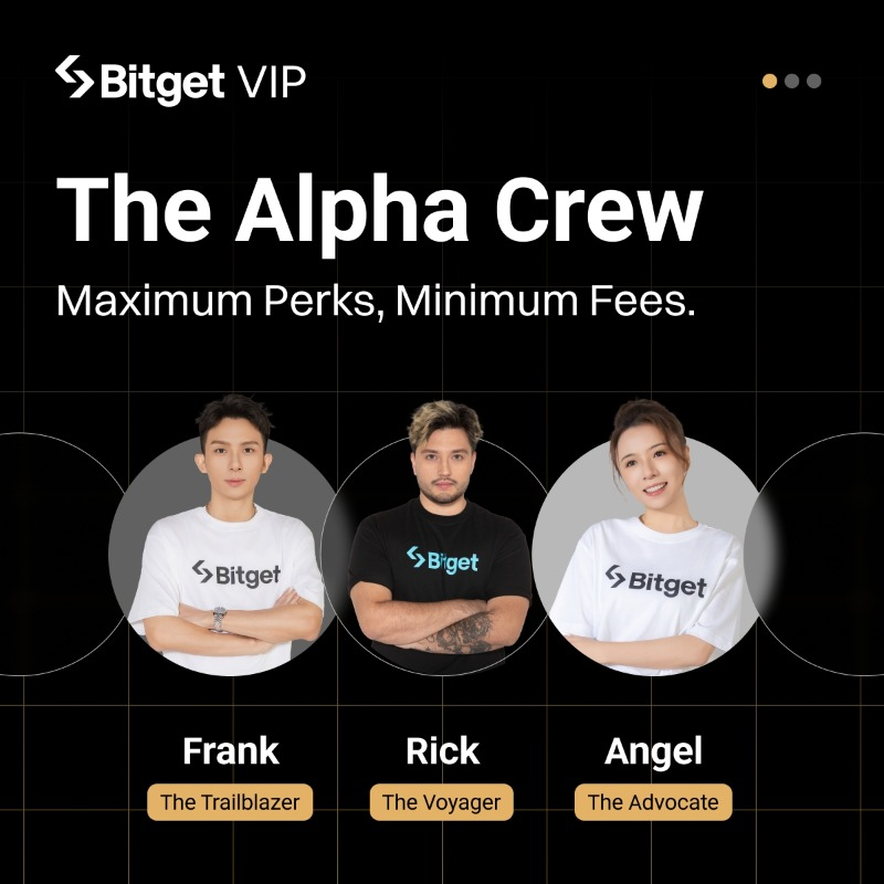 Bitget Alpha Crew: Chiến Lược Giữ Chân Khách Hàng VIP 2026