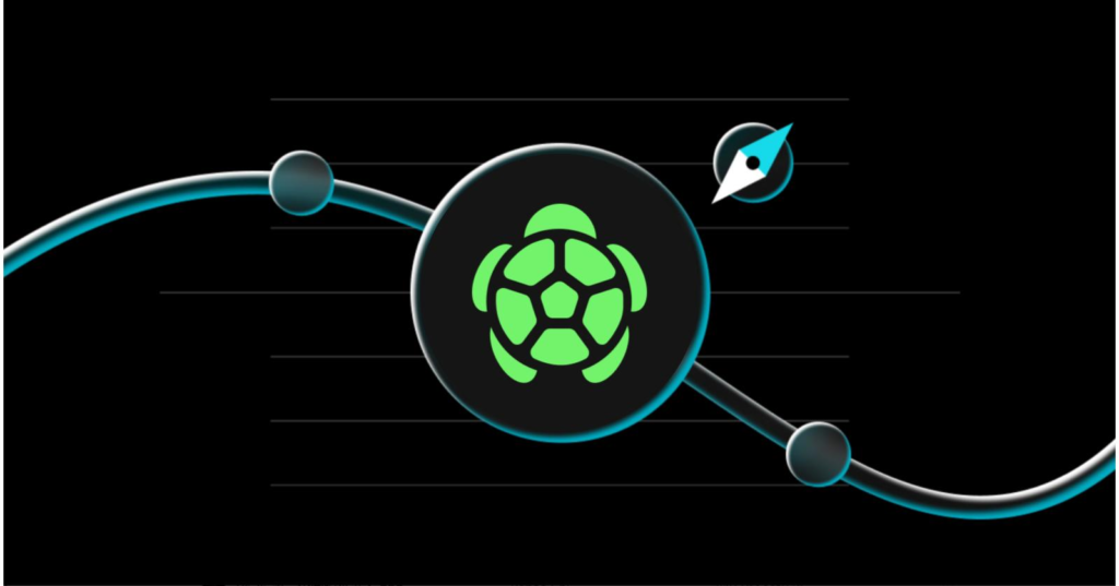 Turtle (TURTLE) là gì? Kiếm tiền từ hoạt động Web3 2026